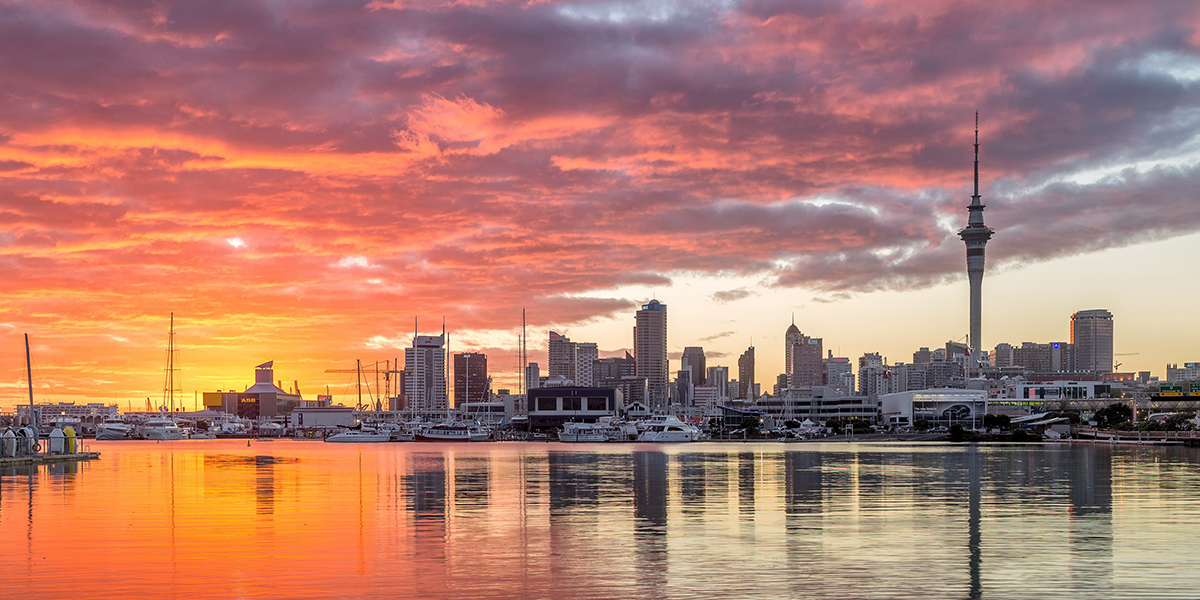 mobile app developers new zealand